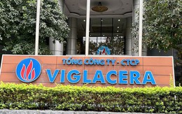Viglacera đặt mục tiêu lợi nhuận giảm 17%