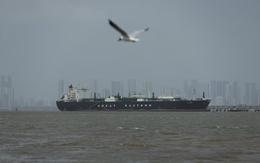 Được xét không thù địch, 2 tàu chở khí đốt treo cờ 1 nước châu Á ‘ung dung’ vượt eo biển Hormuz, nâng tổng số lên 8 tàu an toàn về nước