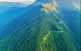 Tạp chí quốc tế công bố "kho báu sống" ở dãy Trường Sơn: Chỉ Việt Nam có