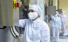 Traphaco đặt kế hoạch 306 tỷ lợi nhuận sau thuế trong năm 2026, tăng 10%