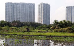 Tiền sử dụng đất được tính từ khi nào?