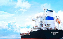 Nhóm Âu Lạc sở hữu trên 5% vốn điều lệ ACB