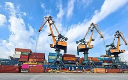 Xếp dỡ Hải An chốt ngày phát hành 2,5 triệu cổ phiếu ESOP