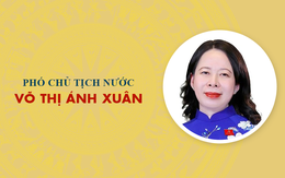 Sự nghiệp Phó Chủ tịch nước Võ Thị Ánh Xuân