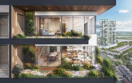 Khám phá Forest Onsen: Sản phẩm onsen trị liệu mỗi ngày từ nhà sáng lập Ecopark