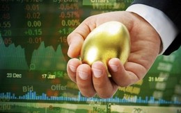 Vietcap: 10 tỷ đô la có thể đổ vào chứng khoán Việt Nam sau tin vui nâng hạng từ tổ chức hàng đầu thế giới