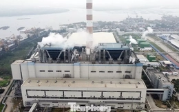 Hải Phòng mở đợt rà soát lớn: Doanh nghiệp ô nhiễm có thể bị xử lý hình sự