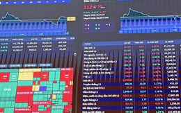 Nâng hạng chỉ là khởi đầu: Chứng khoán Việt Nam bước vào 'cuộc chơi dài hạn'