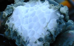 Kỹ sư Nga tạo đột phá tại "kho báu năng lượng" khổng lồ ở Bắc Cực; Thế giới chưa từng khai thác được