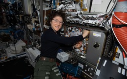 Kỷ lục 328 ngày trong vũ trụ của nữ phi hành gia Artemis II