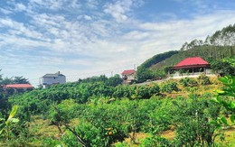 Loại đất và hạn mức công nhận đất ở sau sáp nhập