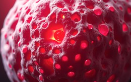 Người phụ nữ suýt chết do mắc ung thư 2 lần: "Thủ phạm" là 1 thói xấu kéo dài hàng chục năm