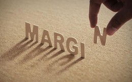 Cổ phiếu Hóa chất Đức Giang bị cắt margin