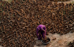 Cảnh tượng chưa từng thấy ở Ấn Độ: Khắp đường phố "xuyên không" về thời đồ đá, người dân phải dùng nguyên liệu thô sơ nhất để nấu ăn