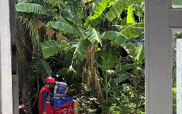 Shipper thái độ ra mặt, liệng gói hàng đánh bộp: Cả trăm lời khuyên rate 1 sao nhưng khách không dám