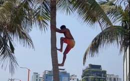 Khách Tây leo dừa thoăn thoắt ngay biển Đà Nẵng, kỹ năng khiến người Việt cũng phải chào thua