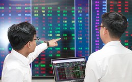 Thị trường chứng khoán tăng, vì sao nhiều nhà đầu tư vẫn lỗ?