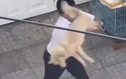 TPHCM: Xác minh clip người đàn ông đánh shipper vì bị từ chối... cắt lông chó