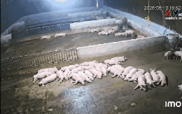 Động đất mạnh 4 độ ở Sơn La khiến nhà cửa rung lắc, người dân chạy ra khỏi nhà sau tiếng động lớn