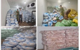Thanh Hóa thu giữ 2 kho hàng chứa 14 tấn bì lợn, tổng giá trị hơn 400 triệu đồng