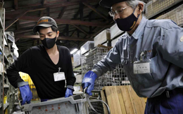 Nikkei: 11,5 triệu việc làm tại Việt Nam chịu tác động nghiêm trọng từ AI