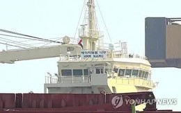 Hàn Quốc điều tra vụ tàu hàng trúng vật thể lạ ở eo biển Hormuz