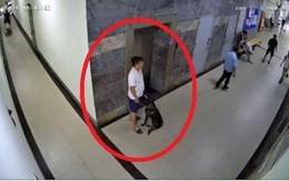 Bị nhắc đeo rọ mõm, chủ chó đánh gục thành viên ban quản trị chung cư