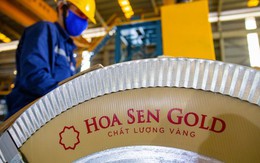 Hoa Sen Group tăng vốn vượt 8.000 tỷ đồng sau đợt trả cổ tức