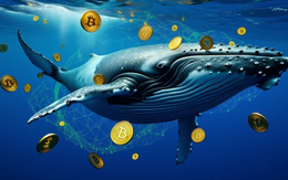 Nóng: Một 'cá voi' Bitcoin vừa thức giấc sau 12 năm, chuyển 500 BTC trị giá hơn 40 triệu USD