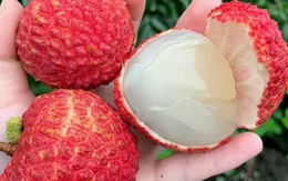 5 điều cấm kỵ khi ăn quả vải nhiều người Việt đang vô tình mắc phải: "Ngọt miệng" nhưng dễ hại thân