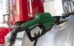 Bóng ma lạm phát nhăm nhe bủa vây Mỹ: Chính phủ bán trái phiếu lợi suất cao nhất 19 năm, thị trường rúng động với dự báo khả năng 80% Fed tăng lãi suất