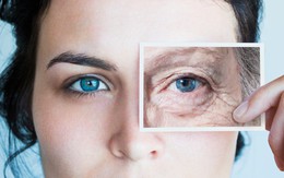 Tưởng chỉ là cảm giác, hóa ra có thật: Các nhà khoa học phát hiện hai độ tuổi cơ thể ‘xuống cấp’ đột ngột