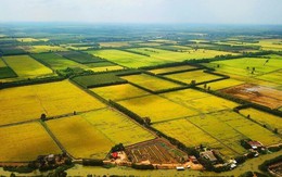 Sửa Luật Đất đai: Hết thời đầu cơ, gom đất để đón đền bù?