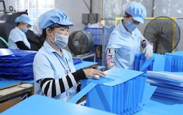 TPHCM dẫn đầu cả nước về Chỉ số hiệu quả kinh tế tư nhân