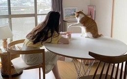 30 tuổi chưa mua được nhà, có lẽ tôi chỉ đủ sức nuôi nổi bản thân