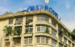 Seaprodex không đáp ứng điều kiện công ty đại chúng