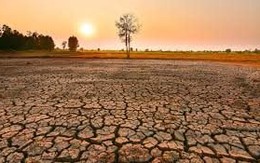 Xác suất 100% xuất hiện "Siêu quái vật" năm 2026, nhiệt độ mặt nước biển đang tăng lên nhanh