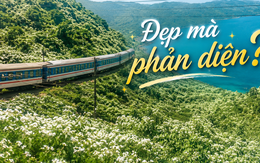 "Thiên đường hạ giới" đang phủ trắng muốt đèo Hải Vân khiến bao người đắm say: Đẹp đến đâu, đáng lo đến đó!