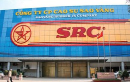 Cao su Sao Vàng dự kiến phát hành hơn 8,4 triệu cổ phiếu để tăng vốn