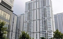 Taseco Land chốt ngày trả cổ tức và phát hành cổ phiếu thưởng