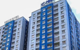 Năm Bảy Bảy muốn bán toàn bộ hơn 315.000 cổ phiếu quỹ