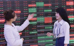 Cổ phiếu Big4 và dầu khí kéo VN-Index thoát hiểm phiên đầu tuần