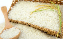 Nước mua gạo lớn nhất thế giới ra cảnh báo mới, tàu Việt vẫn dồn dập cập cảng