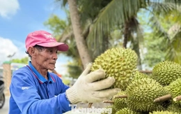 Lưu ý quan trọng về xuất khẩu nông sản sang Trung Quốc từ 1/6