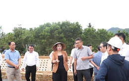 Lãnh đạo Đà Nẵng ra "tối hậu thư" với dự án gần 50 tỉ đồng kéo dài 9 năm