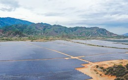 Tập đoàn Xuân Thiện bị phạt do không công bố thông tin