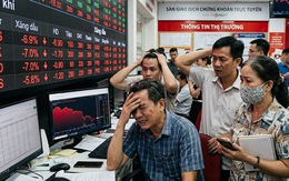 Nhà đầu tư cá nhân lại "đu đỉnh" khi hàng loạt cổ phiếu dầu khí nằm sàn