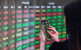 Cổ phiếu dầu khí, phân bón bị “xả hàng” dữ dội, VN-Index mất hơn 15 điểm