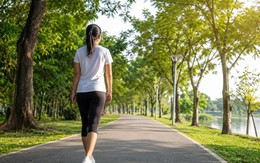 Đi bộ một lần nữa lại được chú ý, bác sĩ phát hiện: Càng đi bộ nhiều mạch máu càng sạch hơn?