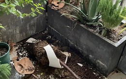 Sau 1 năm dùng ban công mở, tôi hiểu vì sao nhiều người muốn đóng lại